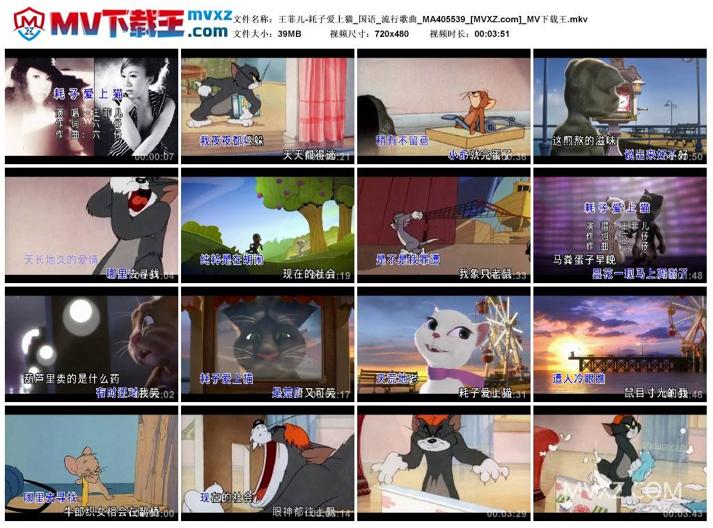 王菲儿-耗子爱上猫_国语_流行歌曲_MA405539